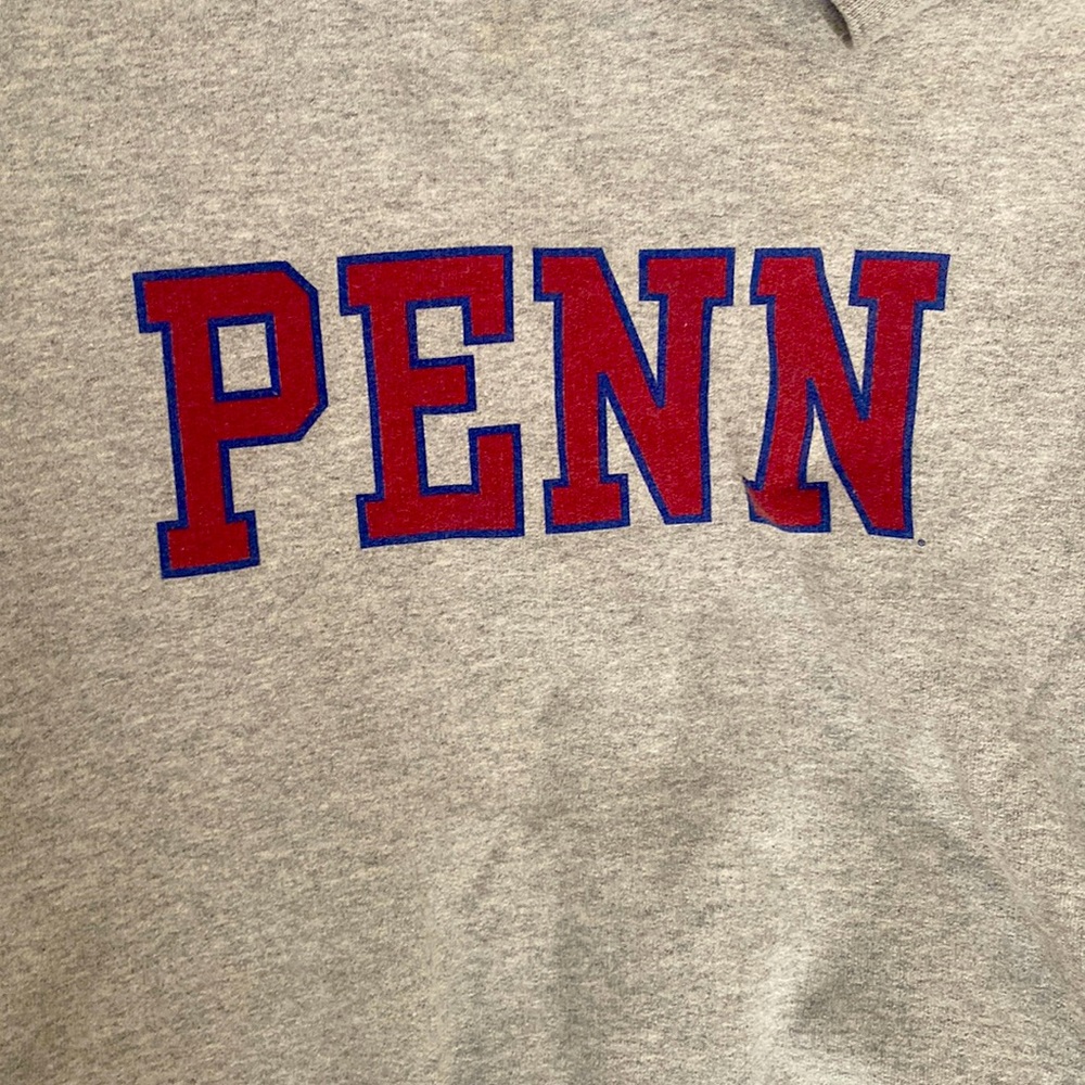 Penn Sweatshirt- grey/small